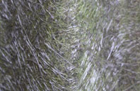 Brown Knowl fibreglass roof work